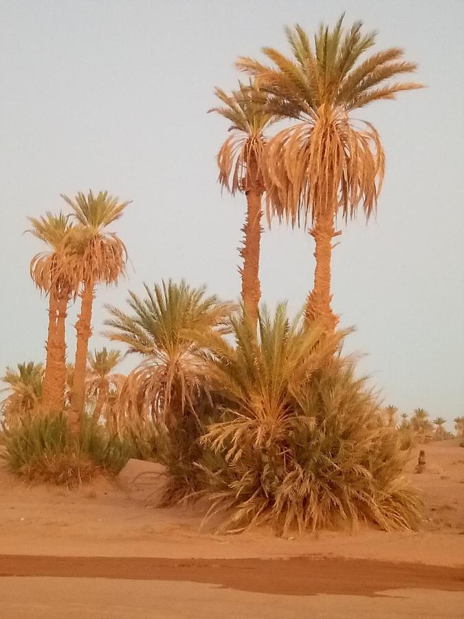 Отель Sahara Peace Camp Загора Экстерьер фото
