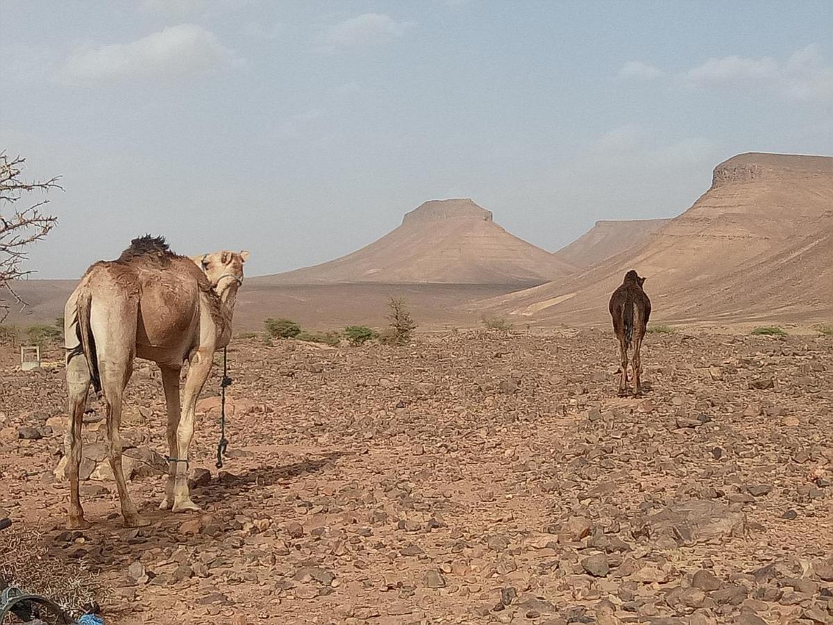 Отель Sahara Peace Camp Загора Экстерьер фото