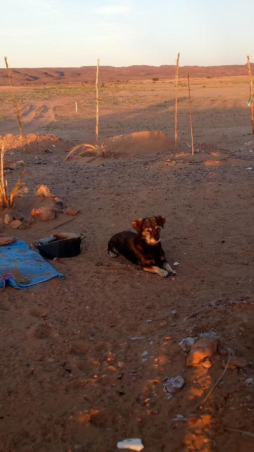 Отель Sahara Peace Camp Загора Экстерьер фото