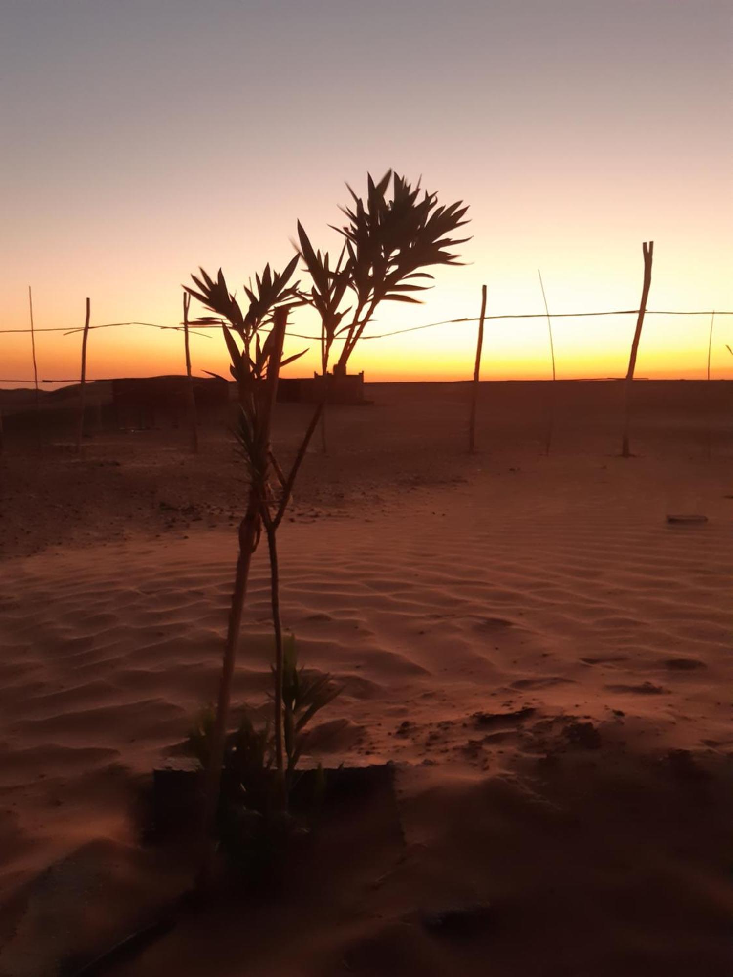 Отель Sahara Peace Camp Загора Экстерьер фото